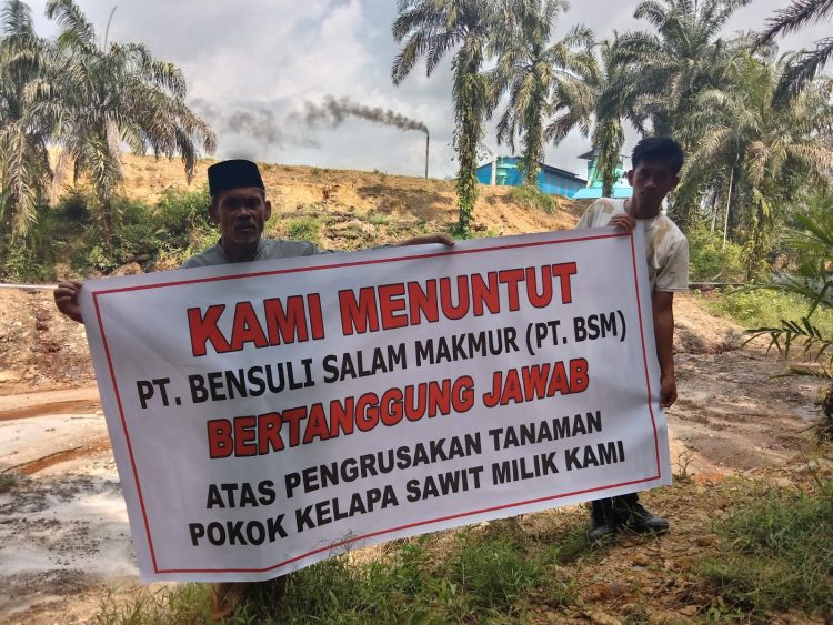Pohon Kelapa Sawit Rusak, Warga Subulussalam Tuntut Pabrik Berondolan PT. BSM Lima Ratus Juta Rupiah