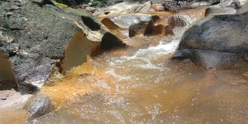 LSM LPLHI Kota Subulussalam Menduga Amdal PT. BSM Bermasalah