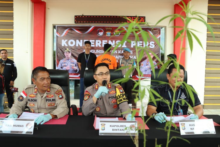 Nekad Tanam Ganja, Pria di Bintan Dicokok Polisi