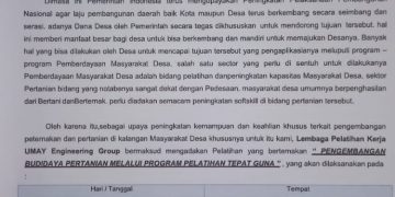 Diduga Puluhan Miliar Menguap untuk Bimtek Aparatur Desa, Dinas PMD Paluta dan Lembaga Rekanan Rawan Bermasalah Hukum