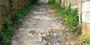 Jalan Desa Narimbang Mulya Rusak Parah Belasan Tahun, Warga Berharap Segera Diperbaiki