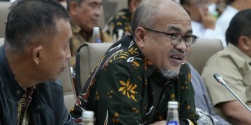 RDP dengan Komisi VI DPR BP Batam Sampaikan RKA 2024 dan Realisasi Anggaran 2024 Triwulan II