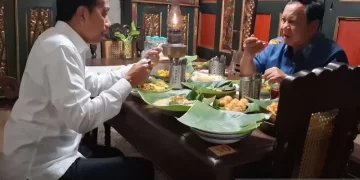 Memaknai Pertemuan Presiden Prabowo dan Jokowi