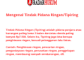 Mengenal Tindak Pidana Ringan/Tipiring