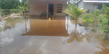 Akibat Gorong-Gorong Amblas, Jalan Utama Desa Mentawak Baru Jadi Langganan Banjir