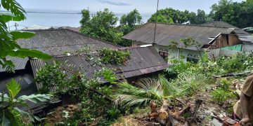 Tanah Longsor di Desa Tanjung Planduk, Tiga Rumah Warga Rusak