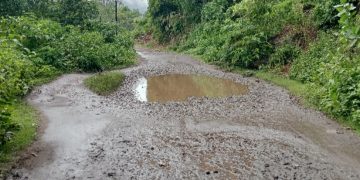 Akses Jalan Wolowaru-Jopu Sepanjang 4 KM Rusak Parah
