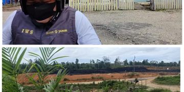 Belum Kantongi IUP,  Ratusan Hektare Sawit Milik Pribadi Rizal di Mandiangin Diduga Ilegal