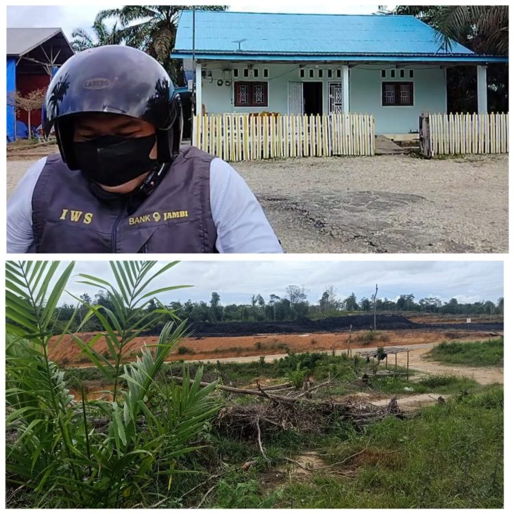 Belum Kantongi IUP,  Ratusan Hektare Sawit Milik Pribadi Rizal di Mandiangin Diduga Ilegal