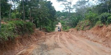 Sejumlah Titik Jalan di Mandiangin Timur Terancam Putus, Warga Minta PUPR Turunkan Alat Berat