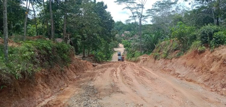 Sejumlah Titik Jalan di Mandiangin Timur Terancam Putus, Warga Minta PUPR Turunkan Alat Berat