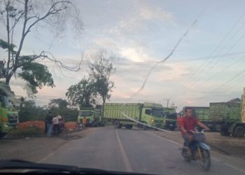 Antrian Truk Hauling PT Hutamas Koado Mengular ke Jalan Lintas Sebabkan Macet, Pengendara Diresahkan
