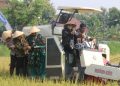 Produksi Beras Kabupaten Pati Capai 137 Ribu Ton di Awal 2025, Bupati Optimis Lampaui Capaian Tahun Lalu