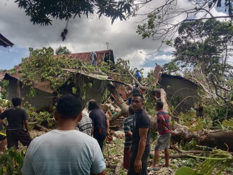 Lagi! Pohon Beringin Raksasa Tumbang di Takalar, Timpa Rumah Warga.
