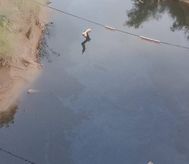 Diduga Tercemar Limbah Sawit, Sekcam Pauh Minta Gakkumdu Turun Telusuri Penyebab Air Sungai Belato Menghitam