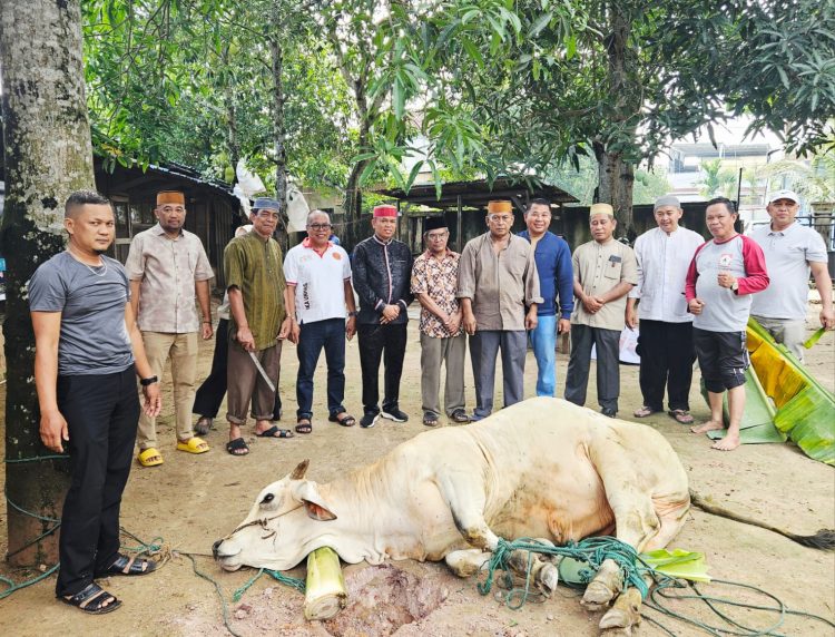 Gelar Penyembelihan Hewan Kurban di Batam, Ketua BPW KKSS Kepri Serahkan Seekor Sapi