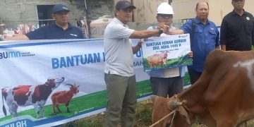 PWI Kabupaten Karimun Berkurban Satu Ekor Sapi