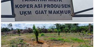 Tak Penuhi Panggilan, Dinas TPHP Sarolangun Layangkan Surat Kedua ke Koperasi Giat Makmur