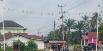 Ketua DPW LSM Tamperak Desak Pemda dan APH Tindak Pungli di Jalan Simpang Pitco
