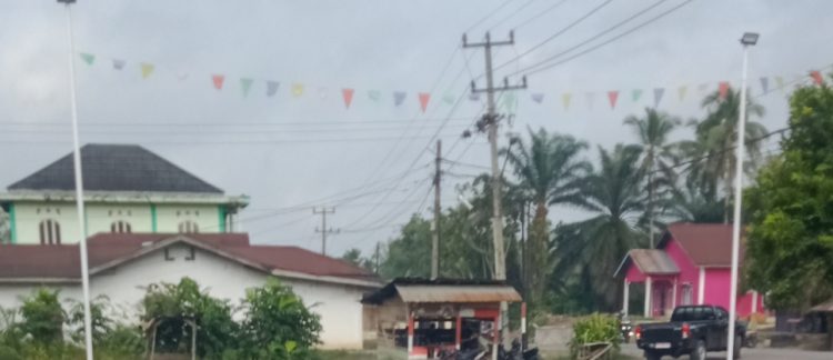 Ketua DPW LSM Tamperak Desak Pemda dan APH Tindak Pungli di Jalan Simpang Pitco