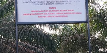 Ribuan Hektar Kebun Sawit Ilegal di Dam Siambang Disegel Satgas PKH, Warga Resah