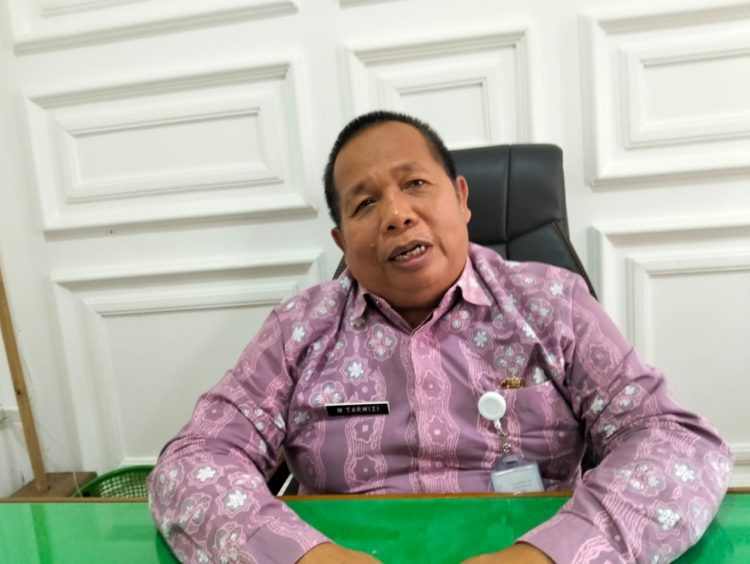 Kadis Perkim Janji Perbaiki PJU Mati Total di Kecamatan Mandiangin