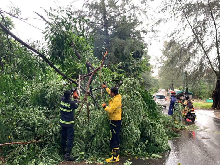 Banyak Pohon Tumbang Akibat Hujan Badai, Kadiskominfo Batam Himbau Warga Berhati-hati