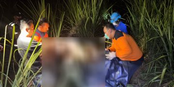 Warga Mulyoharjo Pati Digegerkan Penemuan Mayat Perempuan di Ladang Tebu