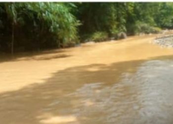 Marak Hutan Lindung Dirambah PETI, Warga Batang Asai Sarolangun Kirim Surat Terbuka ke Kemenhut RI