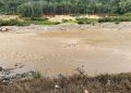 DAS Batang Asai Diduga Rusak Akibat Aktivitas PETI, Warga Keluhkan Air Sungai Keruh