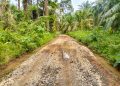 Diduga Dikerjakan Asal Jadi, Warga Kasang Melintang Minta BPK RI Audit Ulang Jalan Usaha Tani