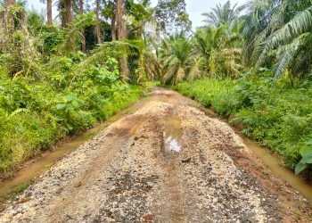 Diduga Dikerjakan Asal Jadi, Warga Kasang Melintang Minta BPK RI Audit Ulang Jalan Usaha Tani