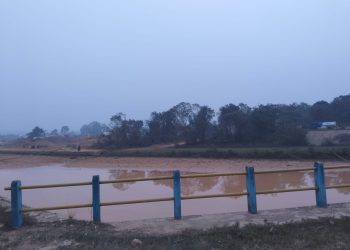 PETI Menggila di Zona Terlarang Dam Kutur Kecamatan Limun Sarolangun, Puluhan Ekskavator Beroperasi Terang-terangan